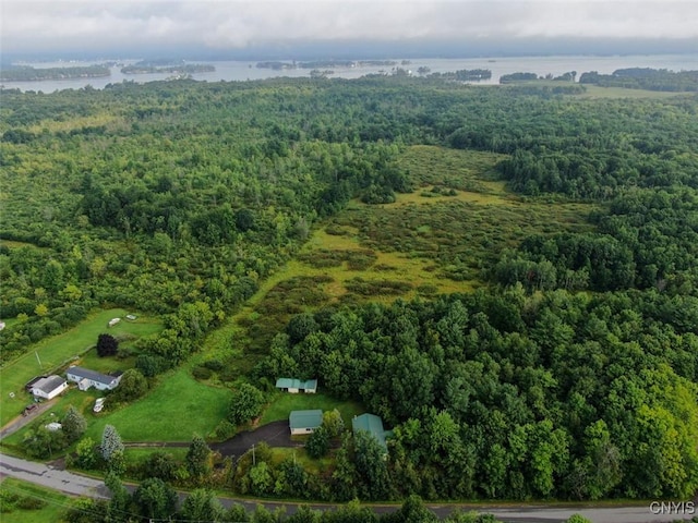 46745 Rte 1 S, Alexandria, NY 13607 - aerial view of property and surrounding area featuring a heavily wooded area