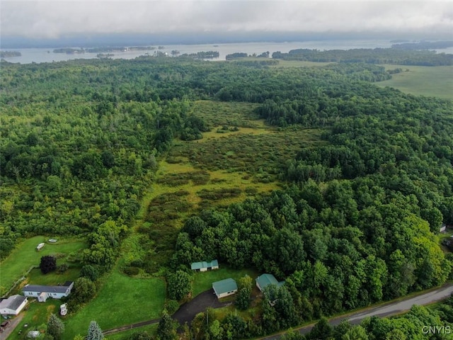 46745 Rte 1 S, Alexandria, NY 13607 - aerial overview of property's location featuring a heavily wooded area