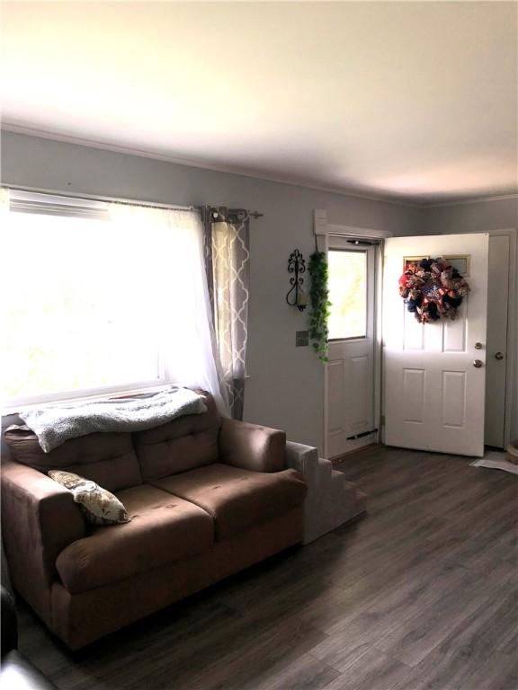 living room featuring dark wood finished floors