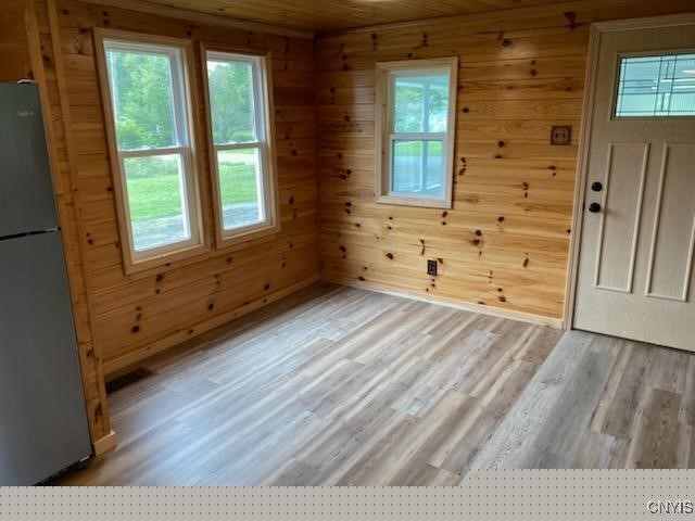 interior space featuring wooden walls, a wealth of natural light, and light wood-type flooring