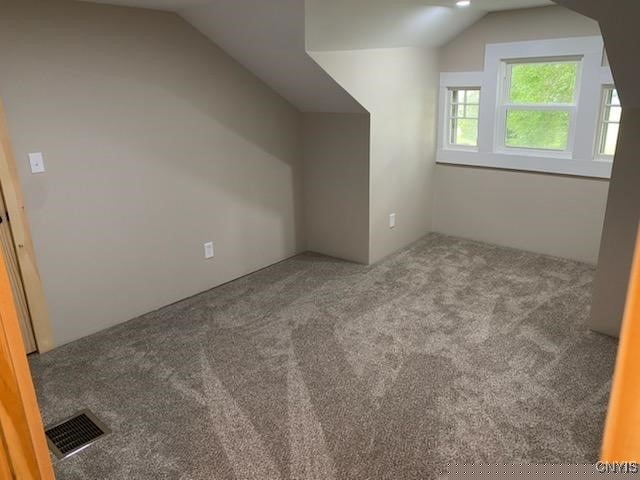 additional living space with lofted ceiling and carpet flooring