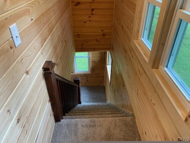 staircase featuring wood walls and carpet floors