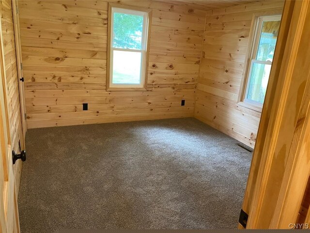 carpeted spare room featuring wood walls and plenty of natural light