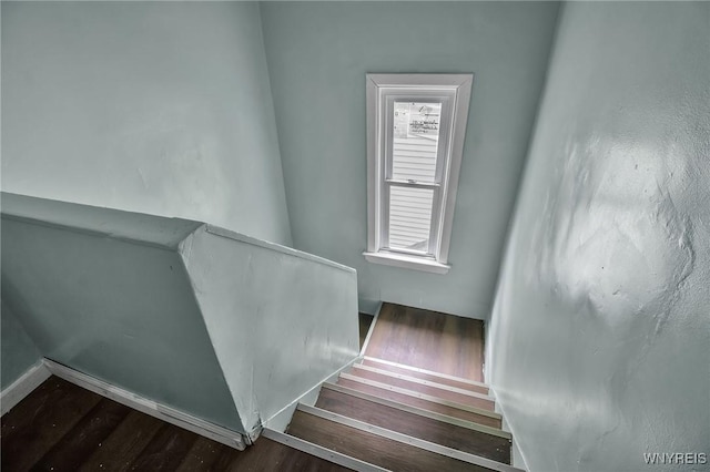 staircase with wood finished floors