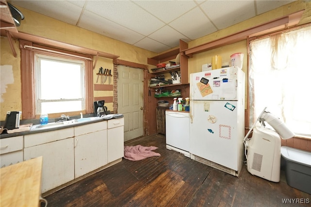 kitchen with a paneled ceiling, dark hardwood / wood-style floors, and white refrigerator