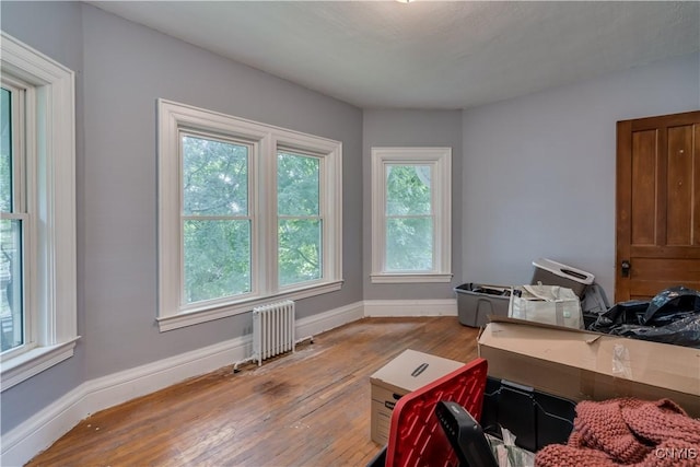 interior space featuring plenty of natural light, radiator, and light hardwood / wood-style flooring