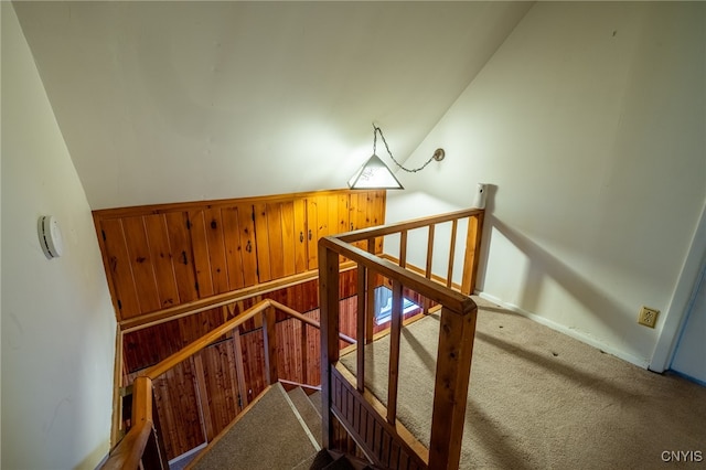 stairs featuring carpet floors, wood walls, and lofted ceiling