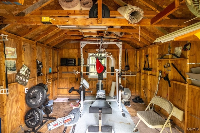 workout room featuring lofted ceiling