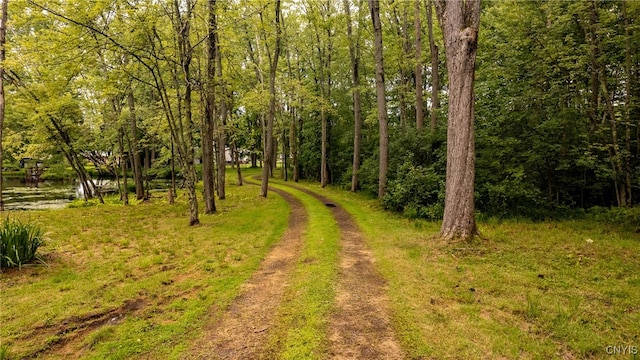 view of nature