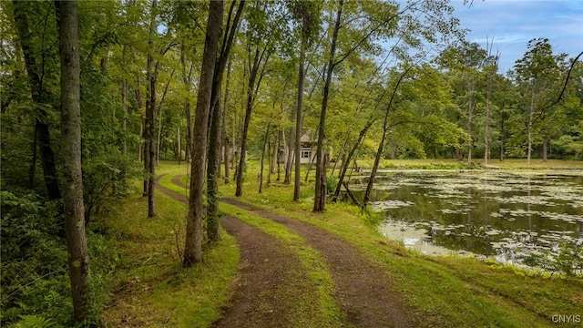 view of road with a water view