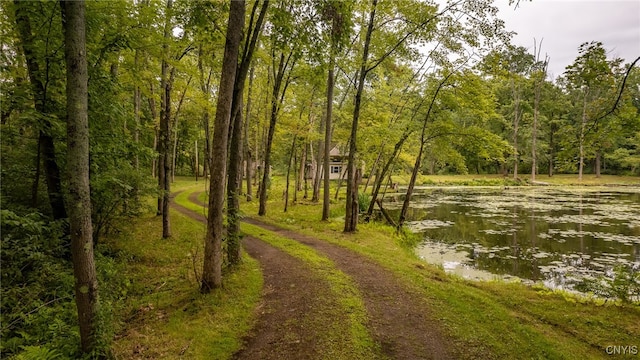 view of road with a water view