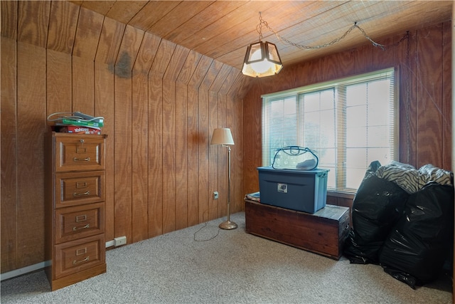 miscellaneous room with lofted ceiling, wood walls, carpet, and wooden ceiling