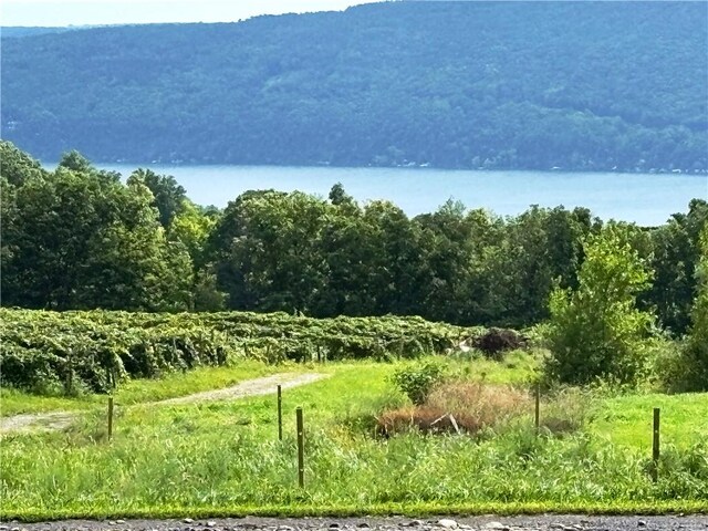 5720 State Route 21st Hwy, South Bristol, NY 14512