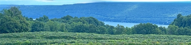 5720 State Route 21st Hwy, South Bristol, NY 14512