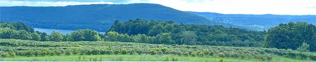 5720 State Route 21st Hwy, South Bristol, NY 14512