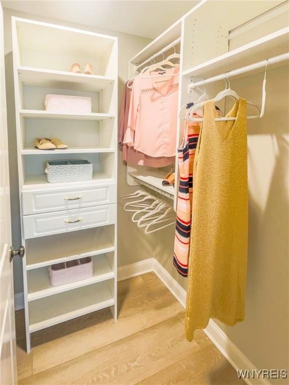 walk in closet with hardwood / wood-style floors