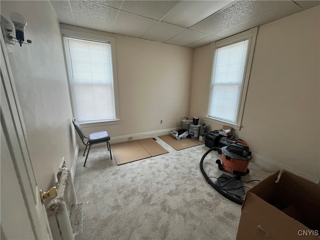 misc room featuring a drop ceiling, a healthy amount of sunlight, and light colored carpet