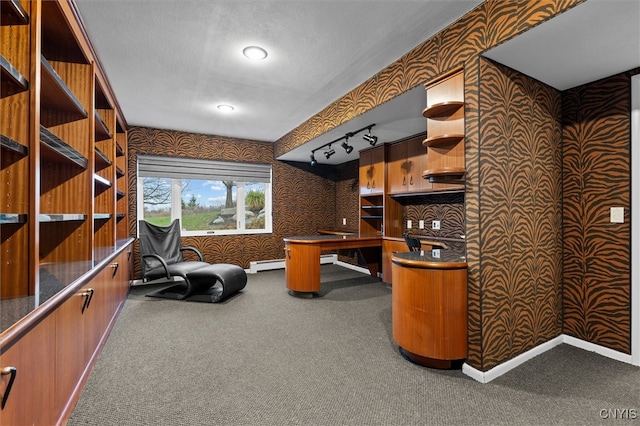 home office featuring a baseboard radiator and carpet flooring