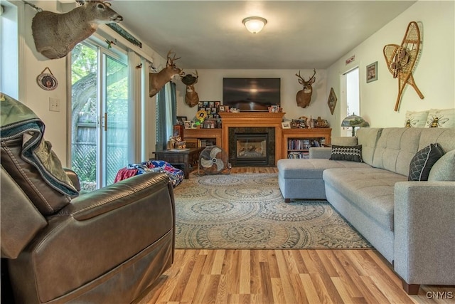 living room with light hardwood / wood-style flooring