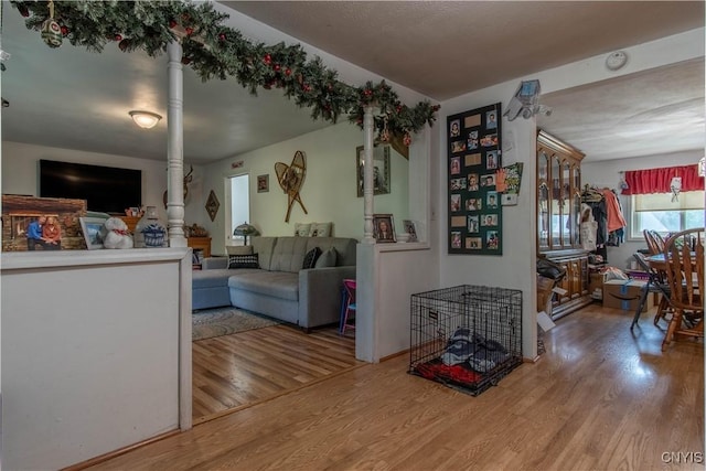 living room with hardwood / wood-style flooring