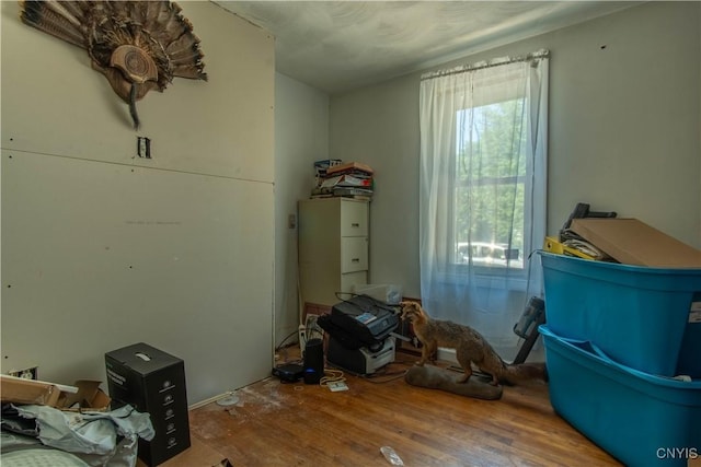 miscellaneous room with wood-type flooring