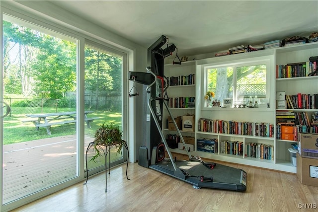 exercise room featuring hardwood / wood-style floors and a wealth of natural light