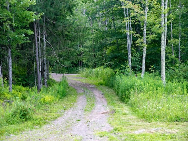 view of road