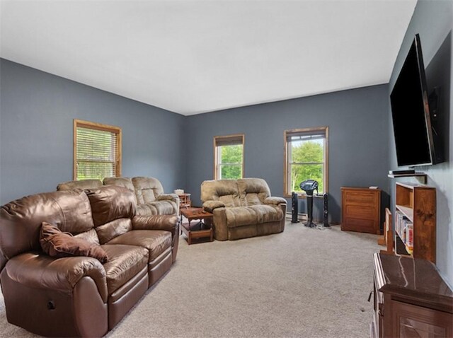 1724 Calhoun Hill Rd, Andes, NY 13731 - view of carpeted living room