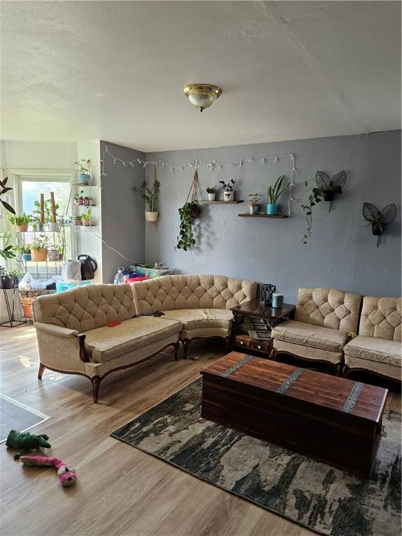 living room featuring a textured ceiling and wood-type flooring