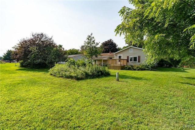 view of yard with a deck