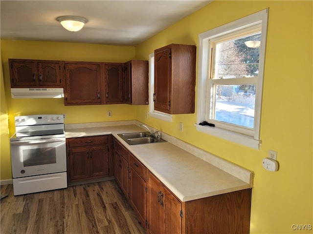 kitchen featuring dark hardwood / wood-style flooring, electric range, and sink