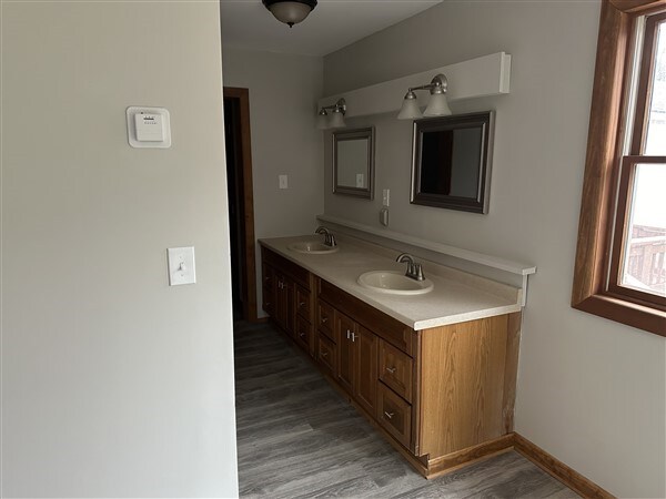 bathroom featuring vanity, hardwood / wood-style floors, and a wealth of natural light