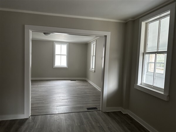 spare room featuring crown molding, plenty of natural light, and dark hardwood / wood-style flooring