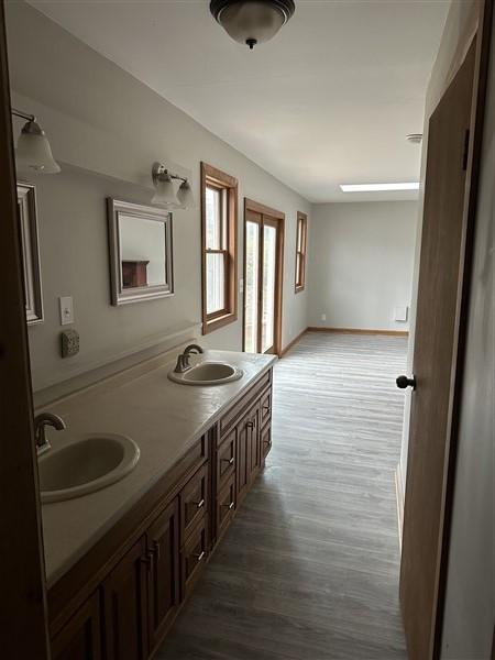 bathroom featuring wood-type flooring and vanity