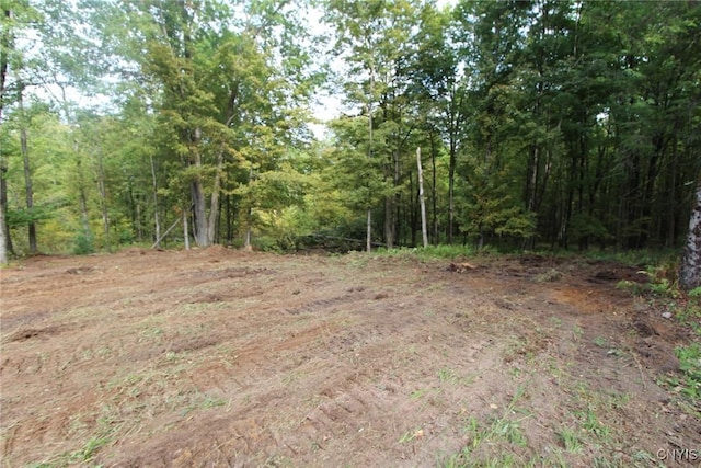 view of local wilderness