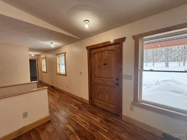 foyer featuring dark wood-type flooring, a wealth of natural light, and baseboards