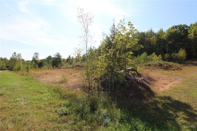 view of landscape