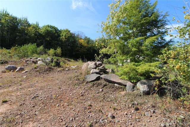 view of local wilderness with a forest view