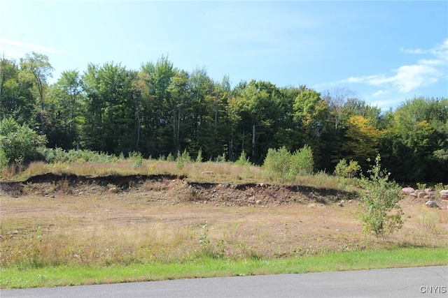 view of local wilderness