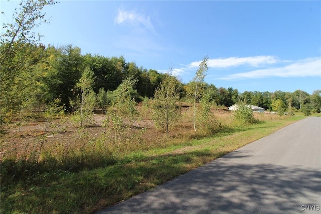 view of road with a forest view