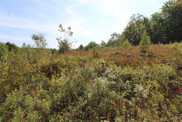 view of nature featuring a forest view