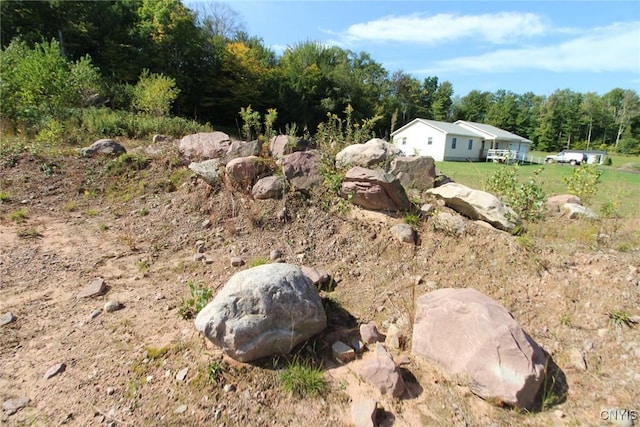 view of yard with a wooded view