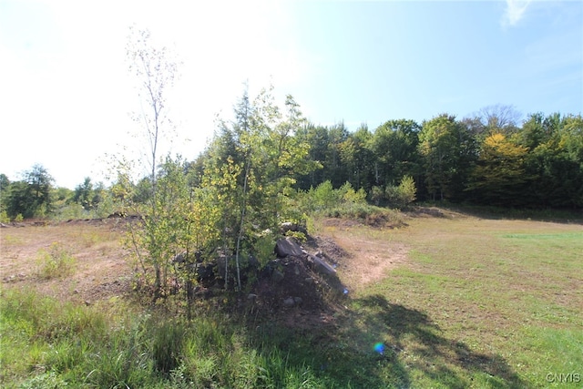 view of local wilderness