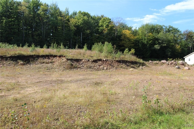 view of local wilderness