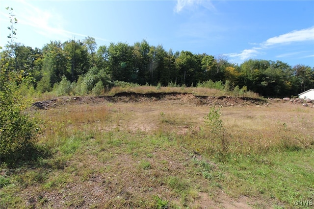 view of local wilderness