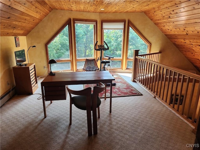 1666 Buffs Blf, Skaneateles, NY 13152 - carpeted office space featuring wood ceiling, lofted ceiling, and baseboard heating