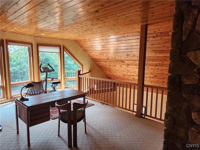 1666 Buffs Blf, Skaneateles, NY 13152 - carpeted office featuring vaulted ceiling and wood ceiling
