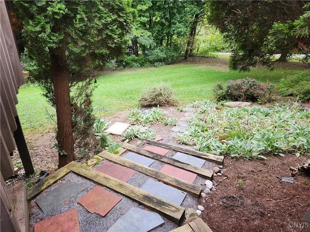1666 Buffs Blf, Skaneateles, NY 13152 - view of grassy yard