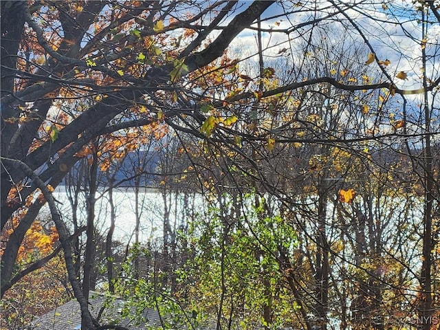 1666 Buffs Blf, Skaneateles, NY 13152 - water view