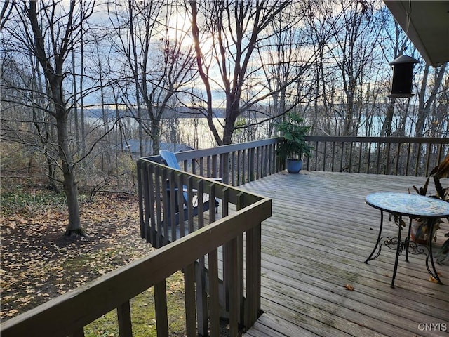 1666 Buffs Blf, Skaneateles, NY 13152 - view of wooden deck